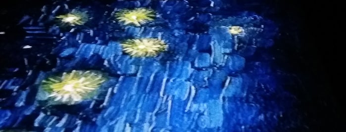 Van Gogh paroda is one of Locais curtidos por Hinata.
