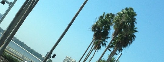 Bayshore Boulevard Linear Park is one of Locais salvos de Kimmie.