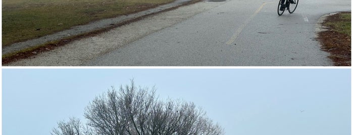 lakefront is one of Chicago.