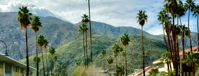 Downtown Palm Springs is one of Locais curtidos por Nelly.