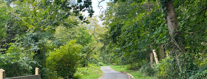 Rock Creek Running Trail is one of Nation's Capitol.