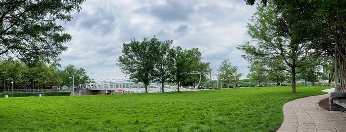 The Yards Park is one of DC: Get Outdoors.