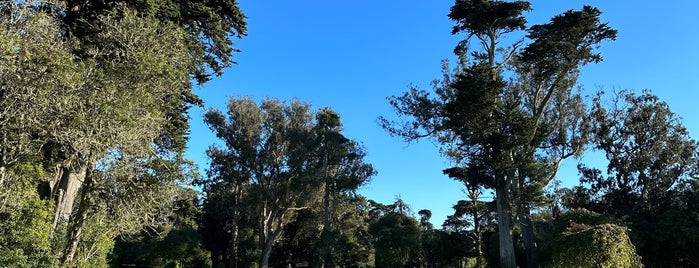 Robin Williams Meadow is one of Golden Gate Park.