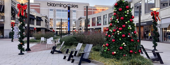 Bloomingdale's is one of Washinton DC.
