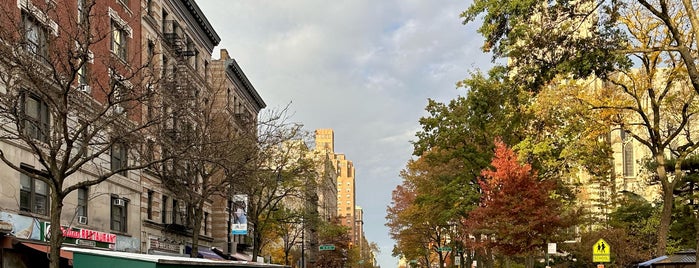 Morningside Heights is one of Nearby Biking Excursions.
