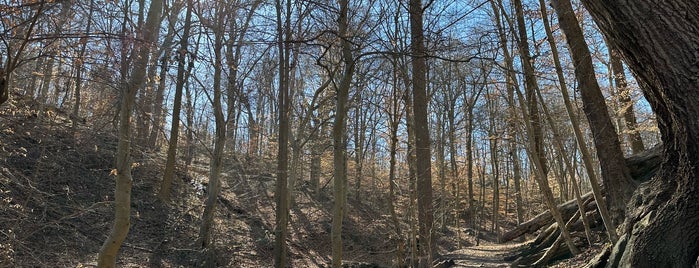 Normanstone Trail is one of outdoors.