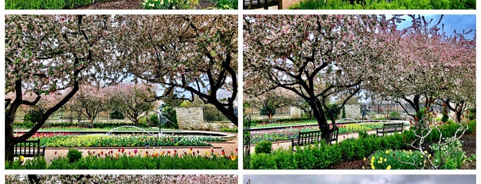 Kauffman Memorial Garden is one of Lieux qui ont plu à LoneStar.