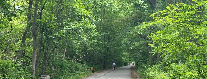 Capital Crescent Trail - Bethesda is one of Nature.