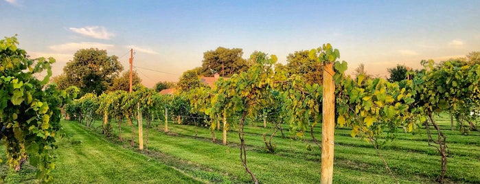Stoney Ridge Winery is one of 88 Things in Ohio.