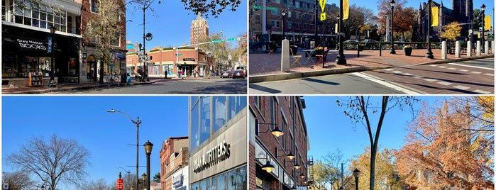The shops at Yale is one of New Haven.