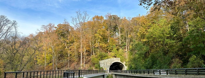 Rock Creek Park - Adams Mill Area is one of Best of D.C..