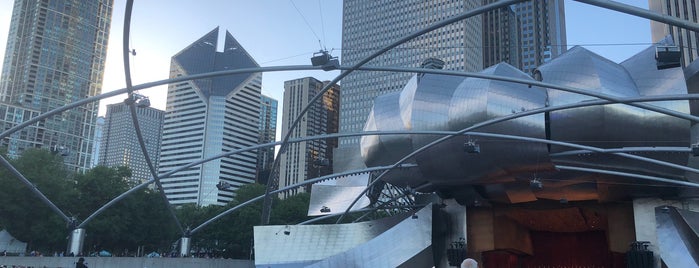 Grant Park Music Festival in Millennium Park is one of Starry Eyed Surprise.