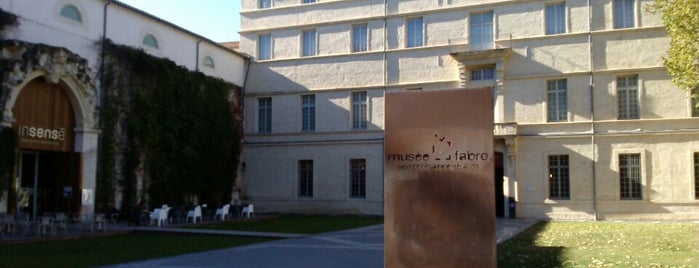 Musée Fabre is one of Best of Montpellier.