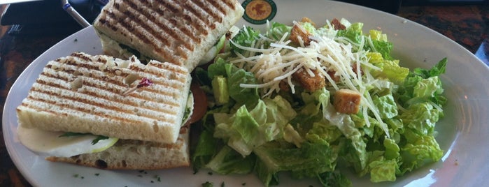 Panini Cafe is one of Lugares favoritos de Angel.