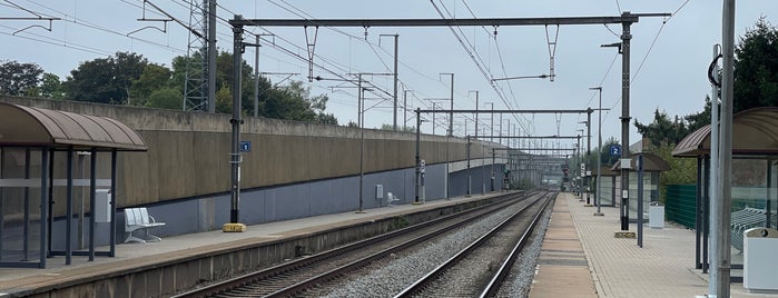 Station Lembeek is one of trains.