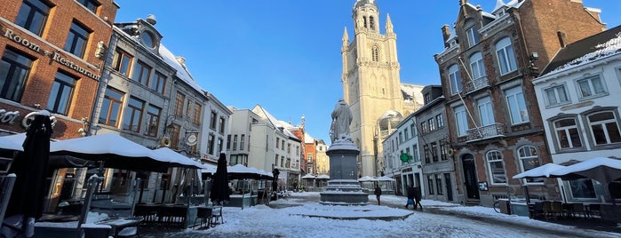 Grote Markt is one of A local’s guide: 48 hours in Halle, Belgium.