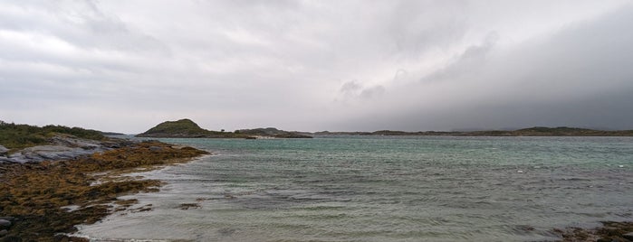 Lyngværstranda Camping is one of Lofoten Islands.