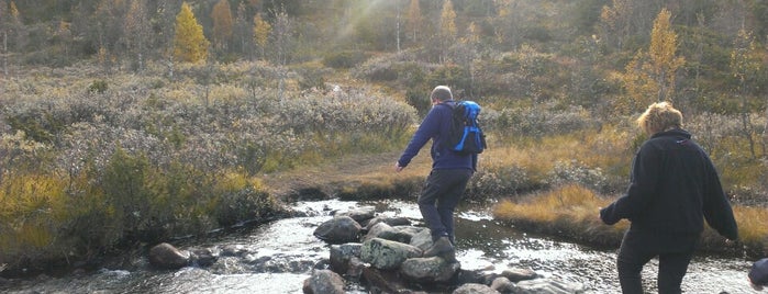 Valdres hikes