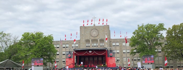 St. John's University Library is one of バッジ用.