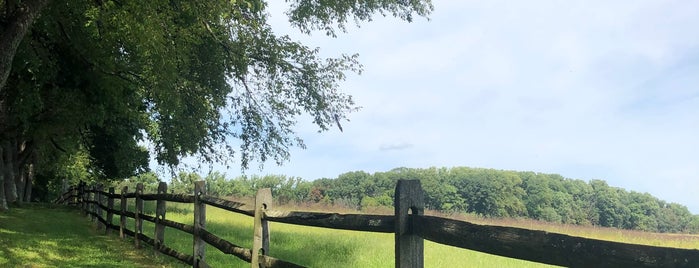 Pennypack Trail is one of Beautiful Nature.