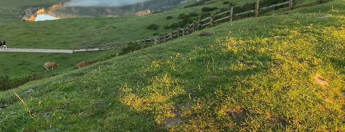 Lago Ercina is one of Asturias.