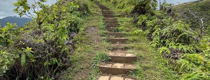 Waihe'e Ridge Trail is one of Maui Backroads.