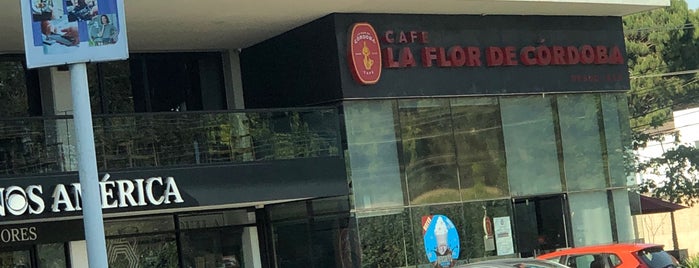 Café La Flor de Córdoba Aviación is one of Cafeterias GDL.