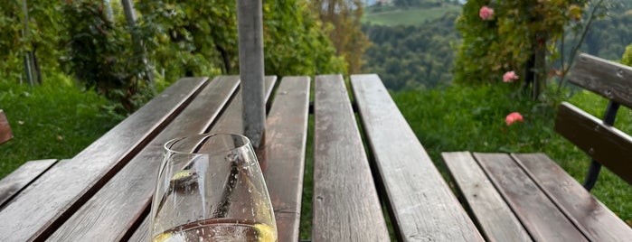 Kästenburg - Kultur Weingut is one of steirische toskana.