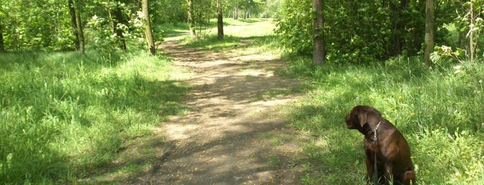Bělský les is one of zelenějšíostrava.