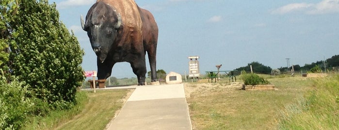 World's Largest Buffalo is one of Out of State To Do.