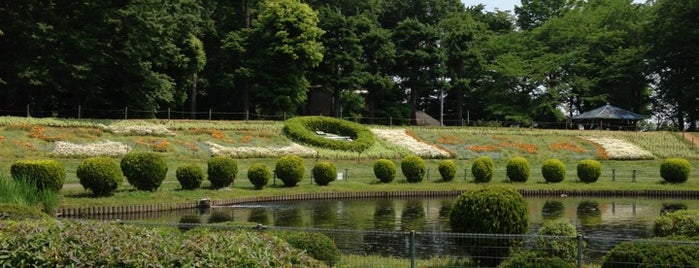 Osaki Park is one of Lugares favoritos de Masahiro.