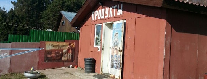 Магазин у Раи is one of Частые.
