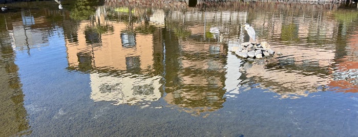 菰池公園 is one of 中部.