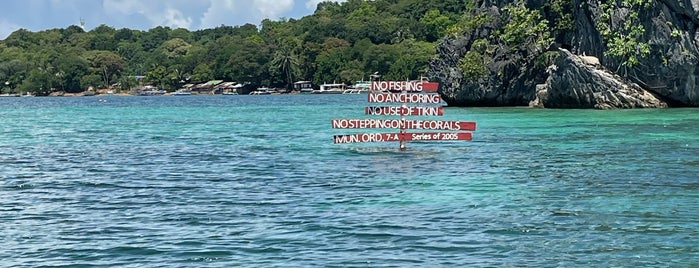 Siete Pecados Marine Park is one of Philippines:Palawan/Puerto/El Nido.