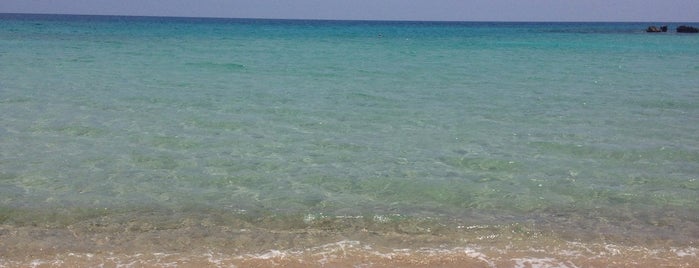 Sea Bird Beach is one of Cyprus.