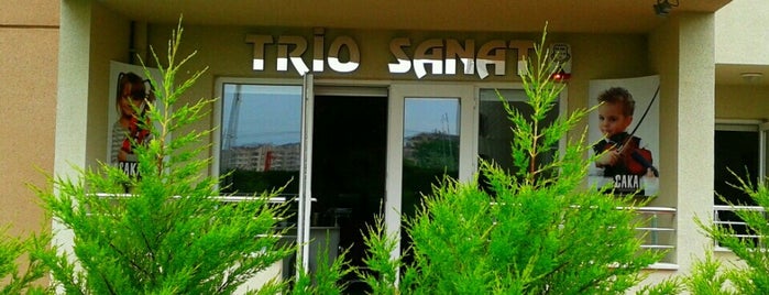 Trio Sanat Akademi is one of Tempat yang Disukai Aydın.