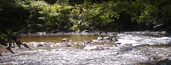 Rock Creek Park is one of DC - Must Visit.