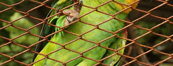 Zoológico Sgt. Prata is one of Parques e Praças.