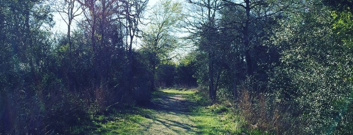 Lick Creek Park is one of Lara's Saved Places.