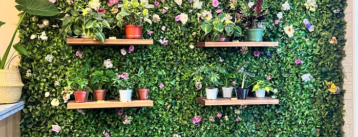 Coffee And Plants is one of LA - Must Do.