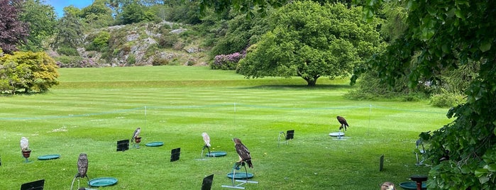 Killruddery House & Gardens is one of Lieux qui ont plu à Jordan.