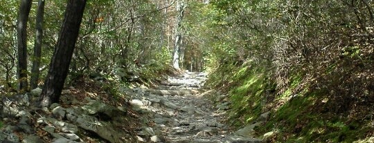 Appalachian Trail Access is one of Lugares favoritos de NikNak.