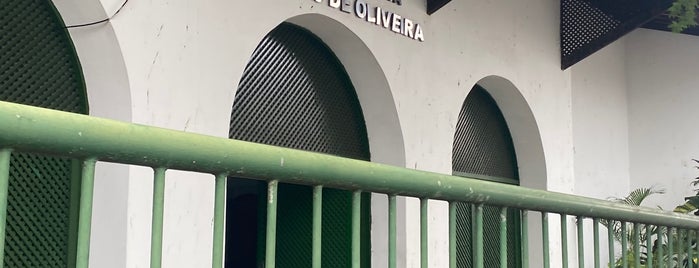 MAC - Museu de Arte Contemporânea Raimundo de Oliveira is one of luciano.