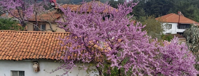 Kızılağaç Köyü is one of Bodrum.