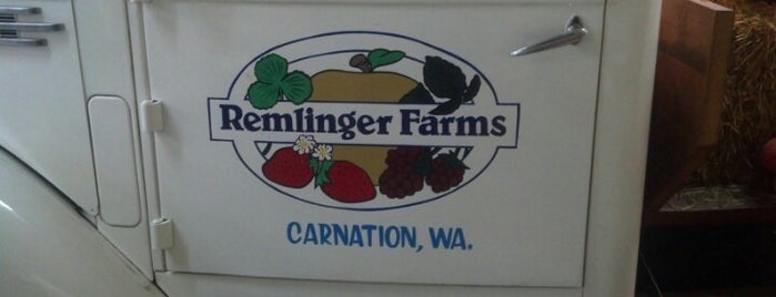 Remlinger Farms is one of Locais curtidos por Jim.