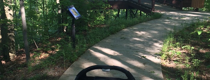 New Buffalo Township Park is one of Lugares guardados de Debbie.