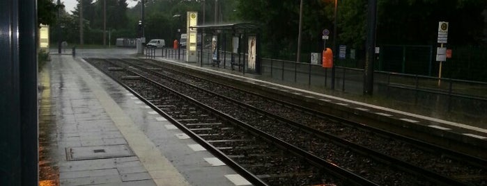 H Am Wasserturm is one of Berlin tram stops (A-L).