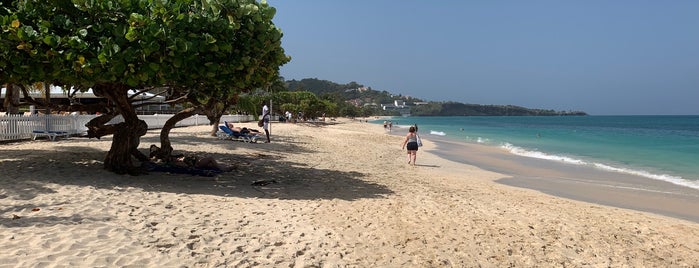 Grand Anse Beach is one of Cruise stops.