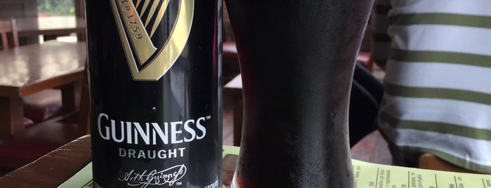 Dublin Beer & Bites is one of TOP Antros y Bares recomendables en San Luis.