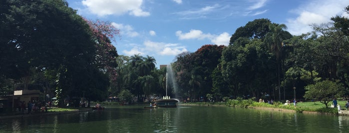 Parque Municipal Américo Renné Giannetti is one of สถานที่ที่ Joao ถูกใจ.